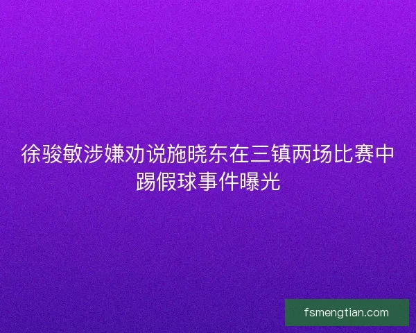 徐骏敏涉嫌劝说施晓东在三镇两场比赛中踢假球事件曝光