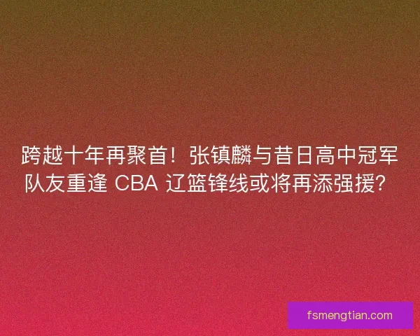 跨越十年再聚首！张镇麟与昔日高中冠军队友重逢 CBA 辽篮锋线或将再添强援？